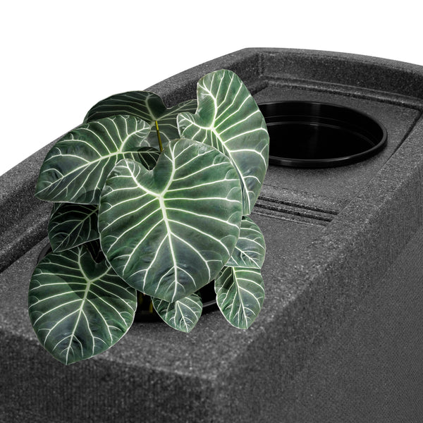Topfpflanze mit dunkelgrünen Blättern in einer YourCasa Regentonne 275 Liter [SquareLux Rain] – Eckig und Schmal Pflanzgefäß von yourcisade.com, mit sichtbarem Abzugsloch.