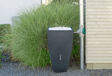Moderne Regenwasser-Sammeltonne neben Ziergras an einem Haus aufgestellt mit angeschlossenem YourCasa® Anschlussschlauch 32mm für Regensammler inklusive Handbohrer von yourcisade.com.