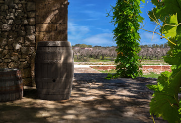 Barrel Regenfass 250-430L Eichenfass-Optik Garten Anwendung – YourCasa