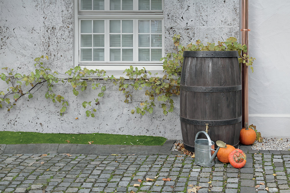 Ein Holzfass, YourCasa Regentonne 500 Liter [OakRain], und Kürbisse neben einer weinbewachsenen Wand neben einem Fenster.
